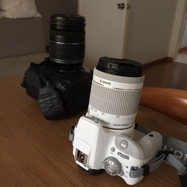 rblog-20150909094216-00.jpg