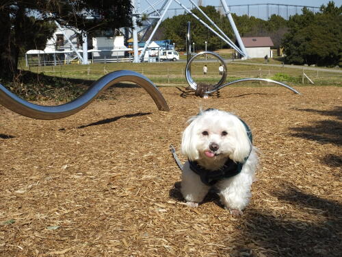 葛西臨海公園にて