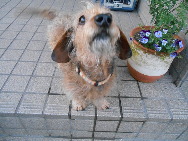 DSCN0413.JPG