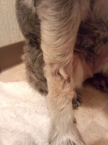 IMG_20131222_101405996.jpg