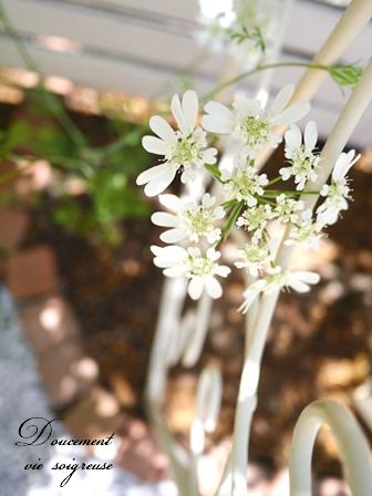 2016.7.5 オルレア.JPG