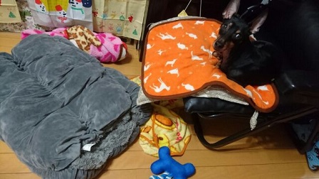 1510331095287.jpg
