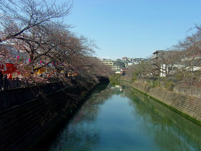 大井橋から上流を.jpg