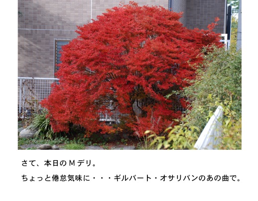 2012.11.29-3.jpg