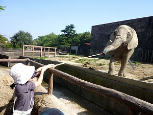 20120428(46).jpg