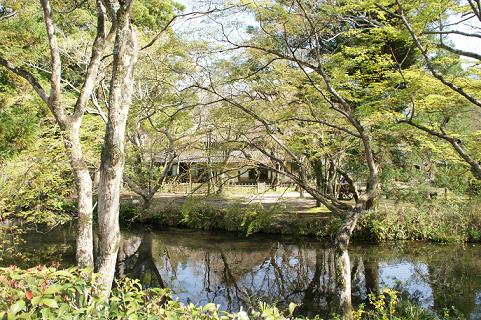 DSC00941 - コピー.JPG