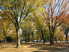 紅葉131129-694b.jpg