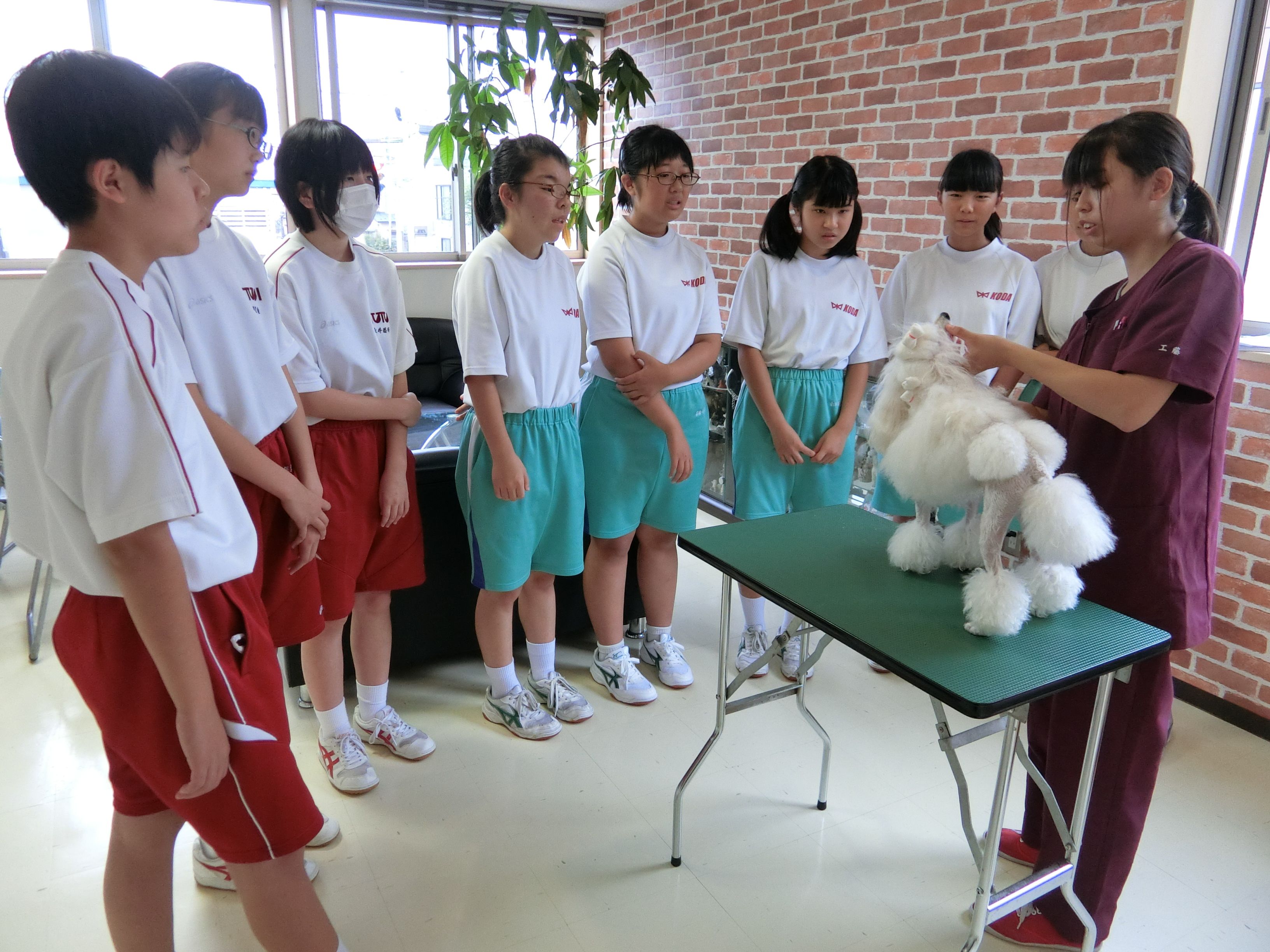 青森 市 オファー 筒井 中学校 ジャージ