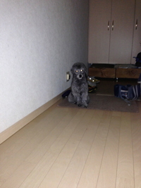 すみっこ