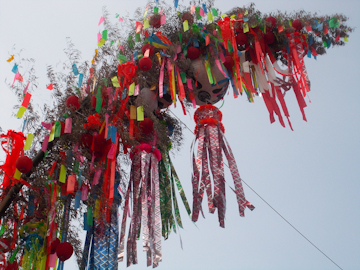 DSCN5786.jpg