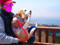 20130429足が変ですよ