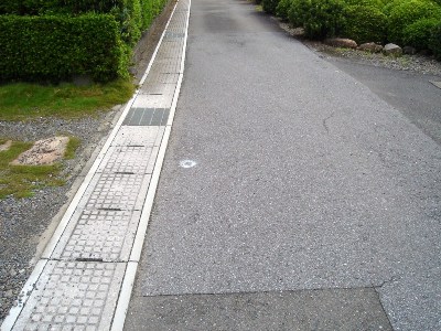1.JPG