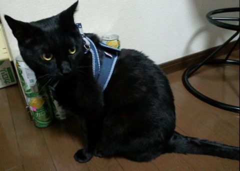 画像 101.jpg