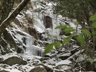 0210_6297.jpg