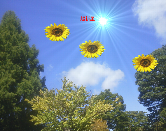 夏の空ー４A.png