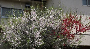IMG_8456-11.jpg