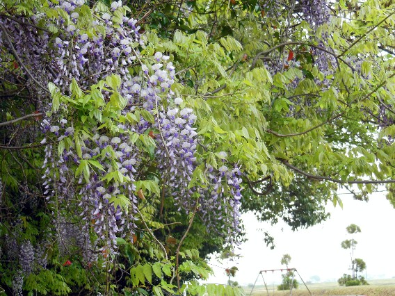 DSCN2227.JPG