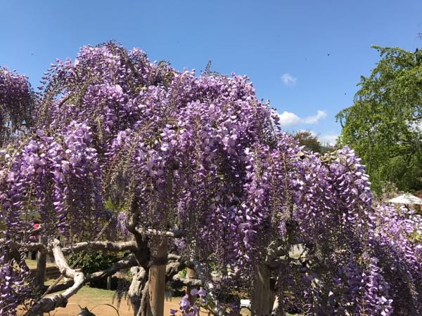 rblog-20170423174903-03.jpg