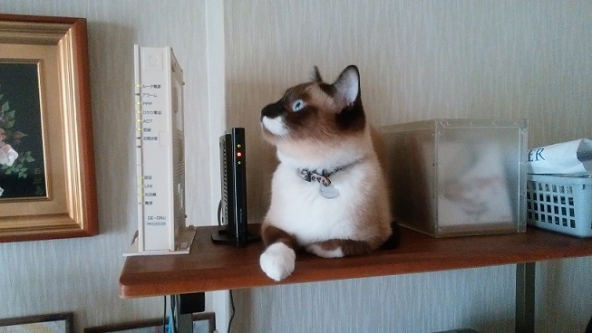 rai
