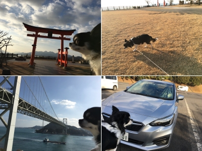 20180102miyajimap