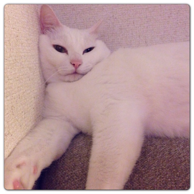 rblog-20130521180235-01.jpg