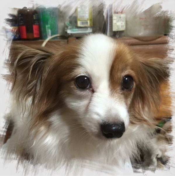 rblog-20160128111247-01.jpg