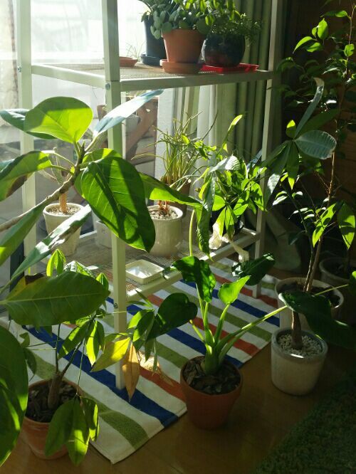 rblog-20170101153602-05.jpg