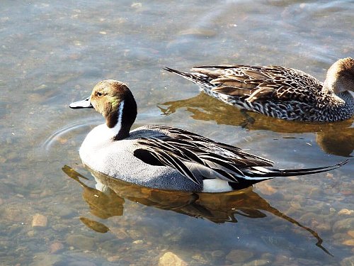 1-27 onanagagamo-121-b.jpg