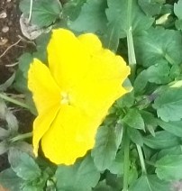 2013_0205_083505-DSCF1614.JPG