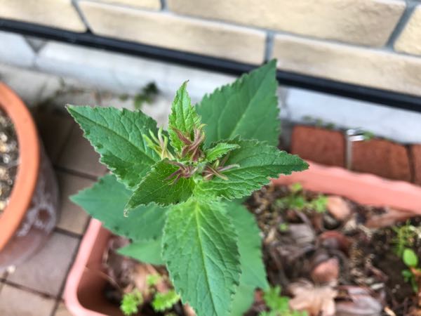rblog-20180430174315-03.jpg