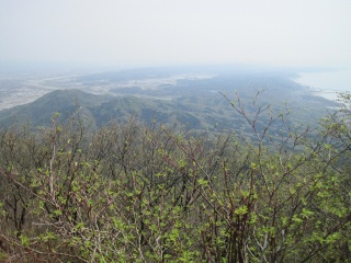 海岸線を望む