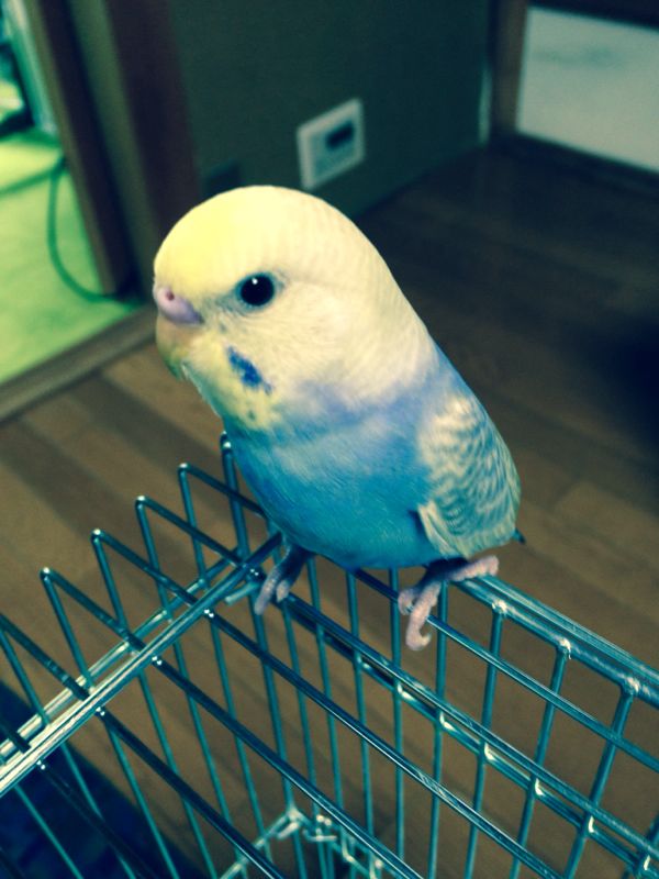 rblog-20140617115257-01.jpg