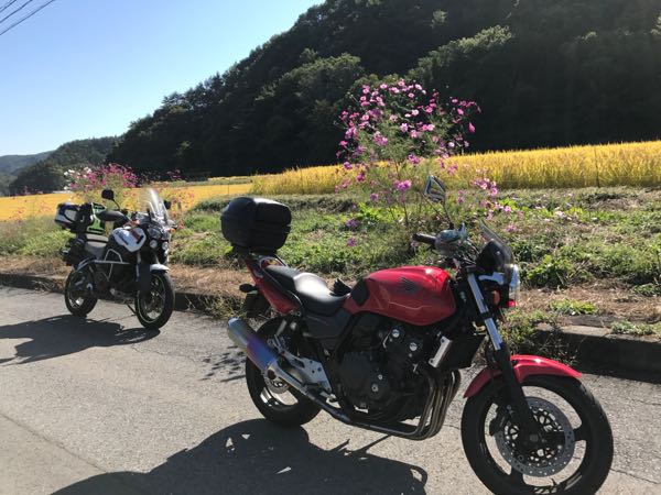 rblog-20171007235558-07.jpg