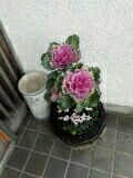 rblog-20170226172412-02.jpg