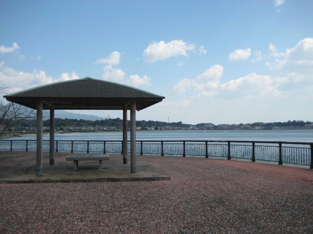 IMG_7916.JPG