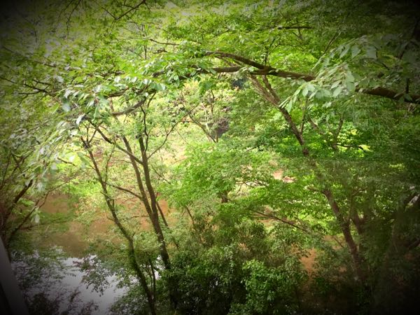 rblog-20150509202503-00.jpg