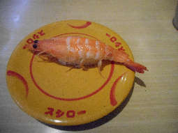 DSCN5015.jpg