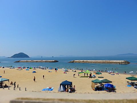 IMG_4402.jpg