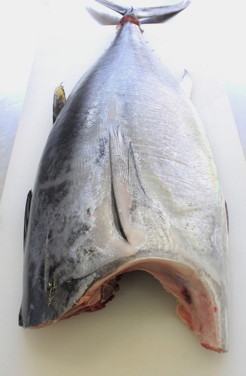 まぐろ.jpg