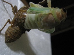 IMG_7497 縮小 - コピー.jpg