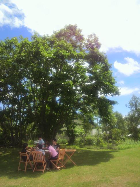 初夏の庭でランチ