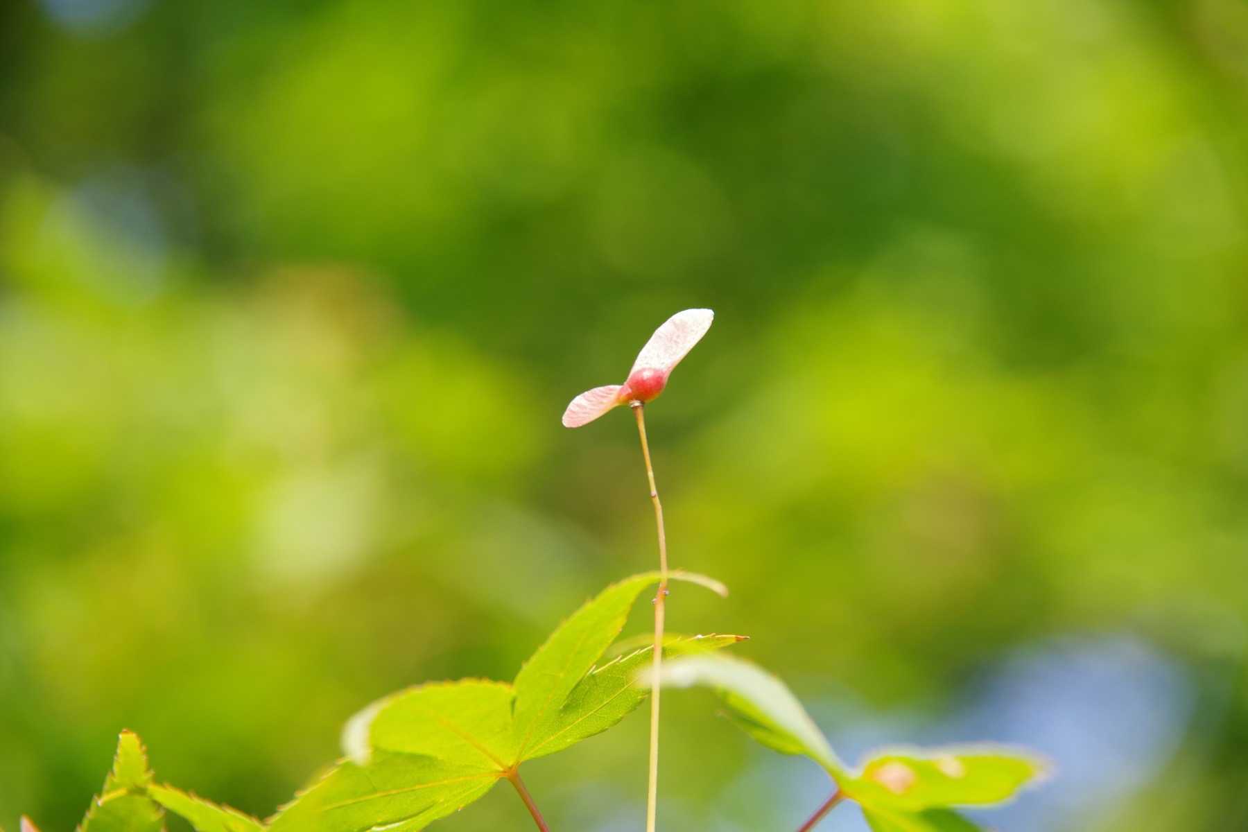 酒とアートとカメラとわたし