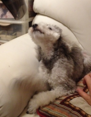 20121024e.JPG