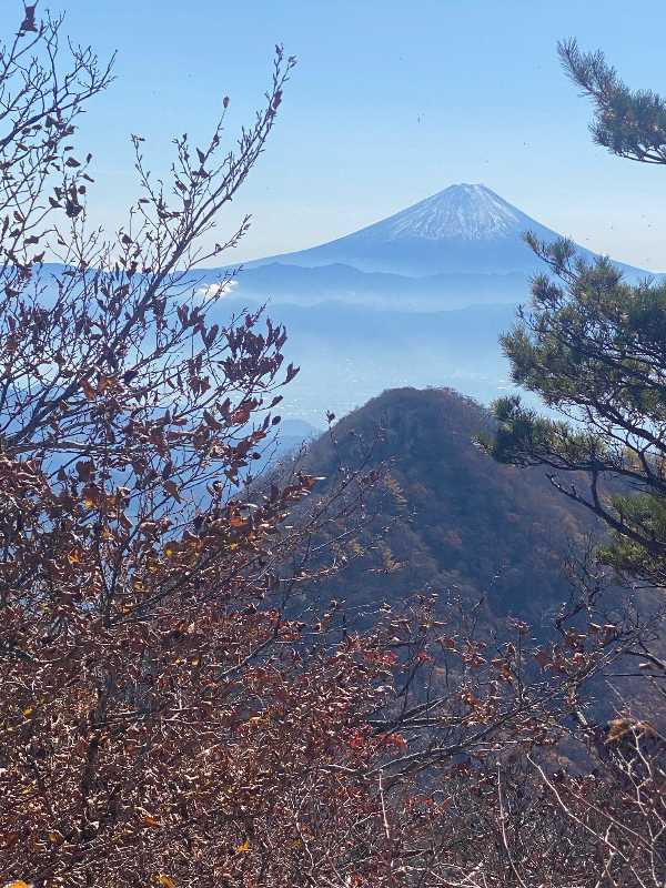 ニセ八ツ~金ヶ岳（かながたけ・1,764m）と茅ヶ岳（かやがたけ・1,704m）(2) | 醍醐山と下部（しもべ）温泉 - 楽天ブログ
