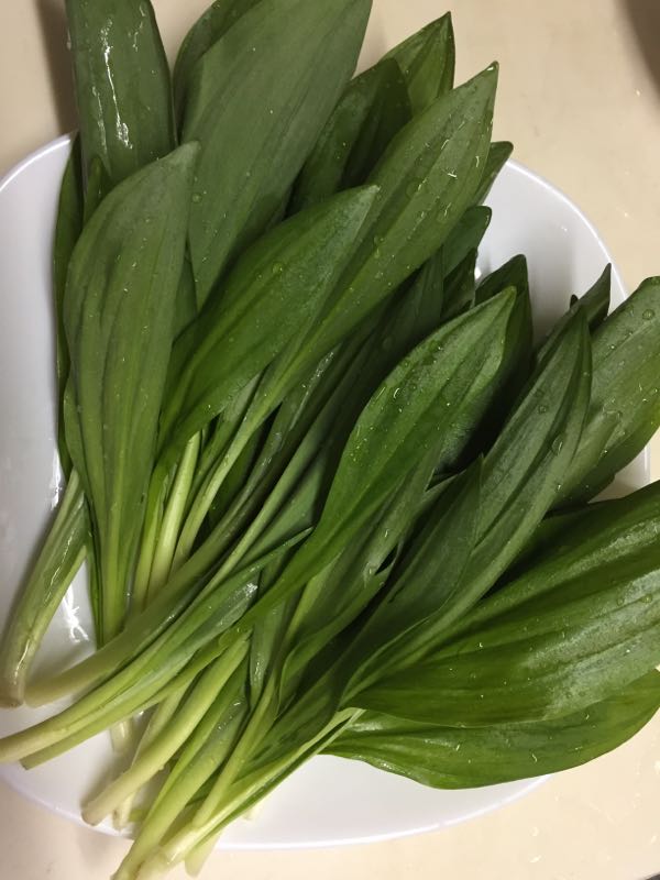 rblog-20180413193036-02.jpg