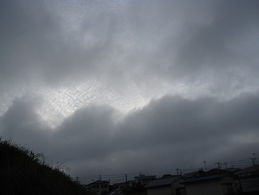 IMG_9361.JPG