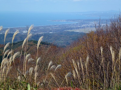 P1060241.jpg