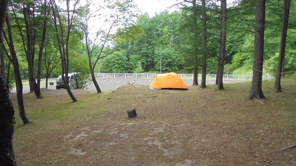 中富良野森林公園キャンプ場のサイト風景