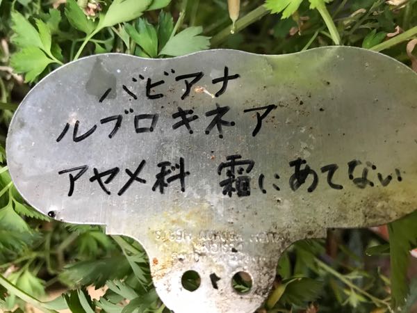 rblog-20190423182804-02.jpg