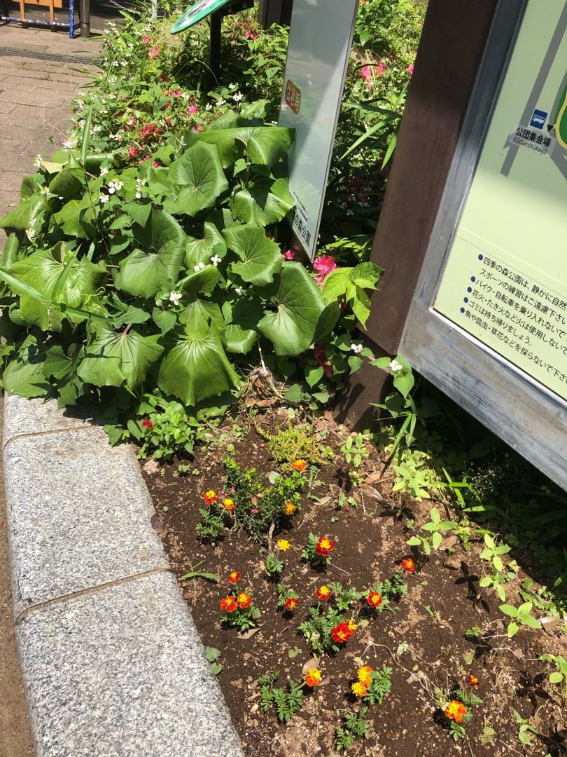 県立四季の森公園までランニング | カスタードのときたまダイアリー - 楽天ブログ